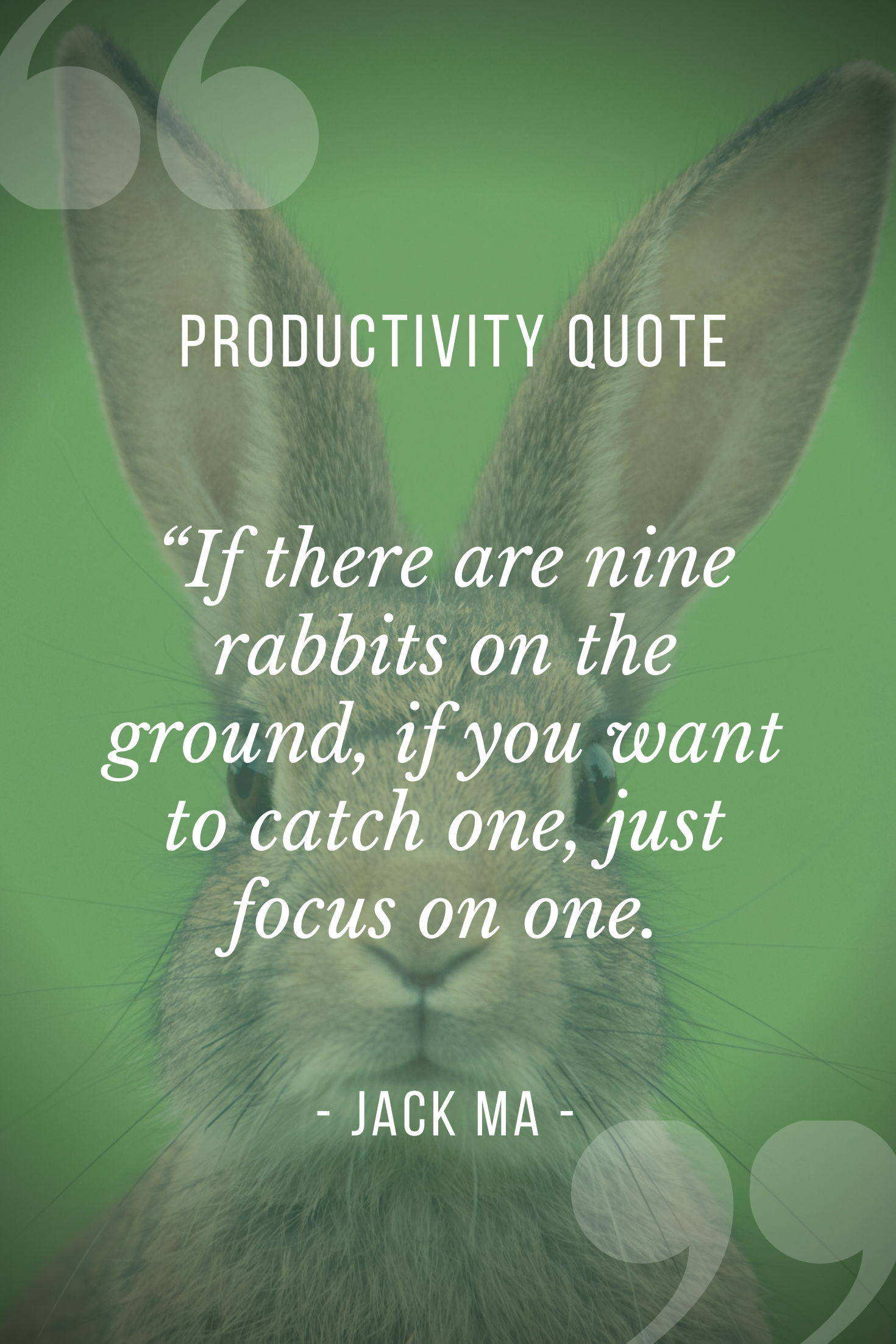 Attention Management Quote By Jack Ma “If there are nine rabbits on the ground, if you want to catch one, just focus on one.” ~ Jack Ma