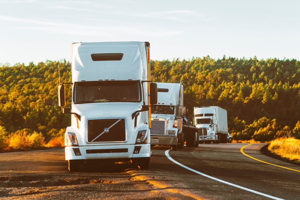 6 Tips For Organizing Transport Needs For Your Firm 1 White Volvo Semi-truck on Side of Road