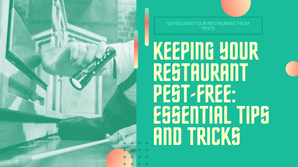 How To Protect Your Restaurant From Pests? 13 How to Protect Your Restaurant from Pests?