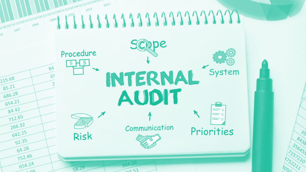 How To Manage Accounting In Your Company? 15 internal audit