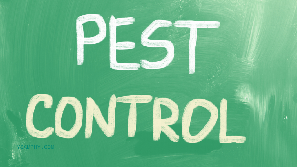 How To Protect Your Restaurant From Pests? 9 pest control method