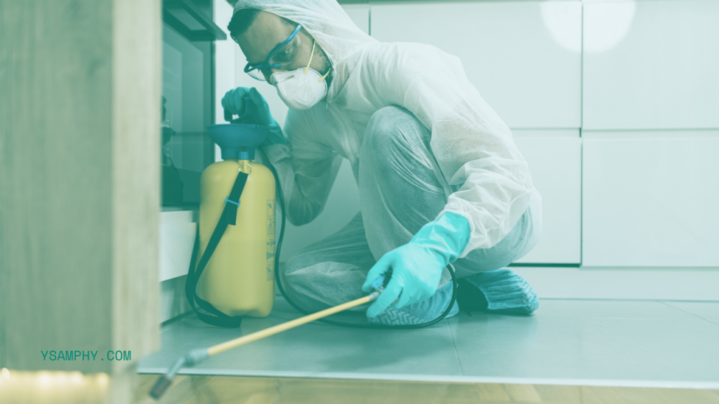 How To Protect Your Restaurant From Pests? 1 restaurant pest control