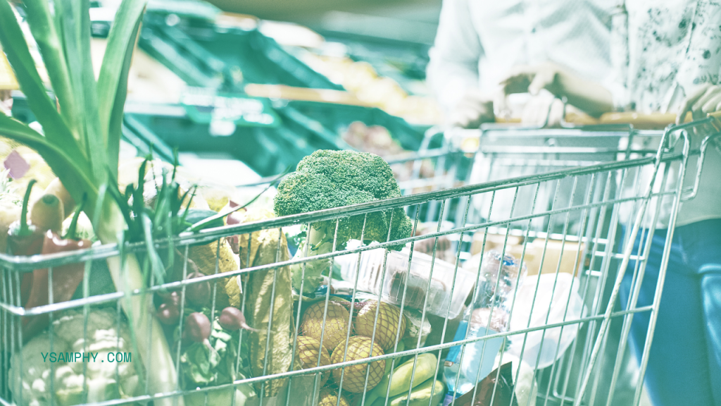 How To Ensure You Stick To A Healthy Diet When Leading A Busy Life 5 grocery shopping