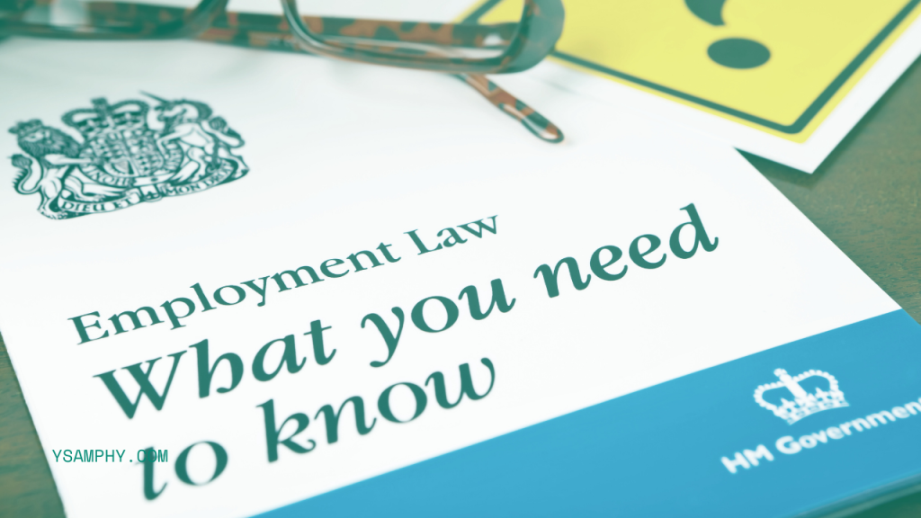 Standing Up For Your Rights As A Worker: Practical Legal Guidance 1 employment law what you need to know