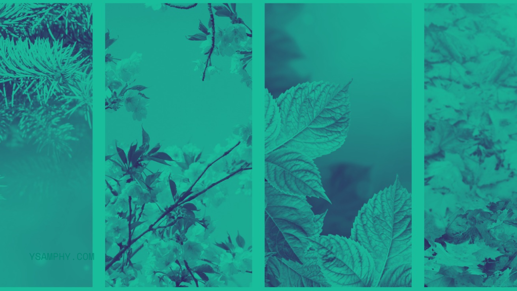 How To Set Competitive Rates For Your Vacation Rental Business 9 seasons