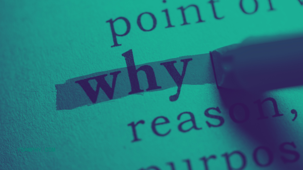 Unlock The Potential Of Your Website: How An Seo Audit Can Boost Your Online Presence 3 why